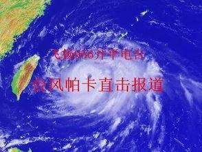 台风最新爆料视频